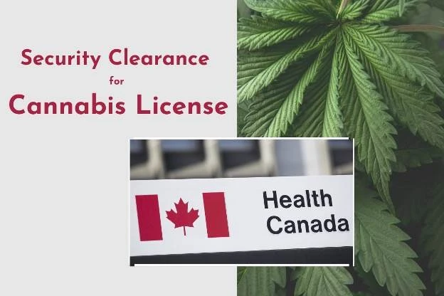 Security Clearance Health Canada Cannabis